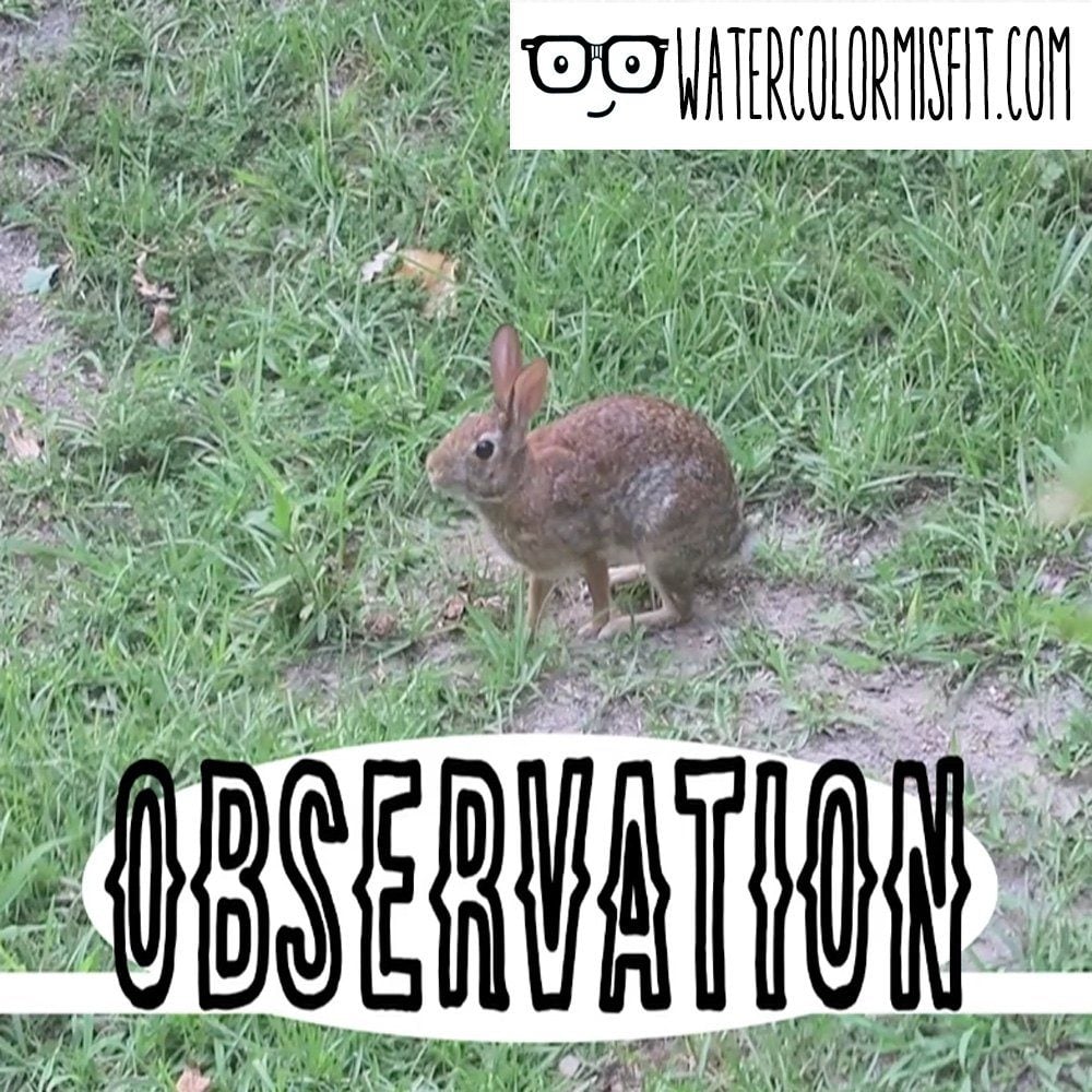 Observation