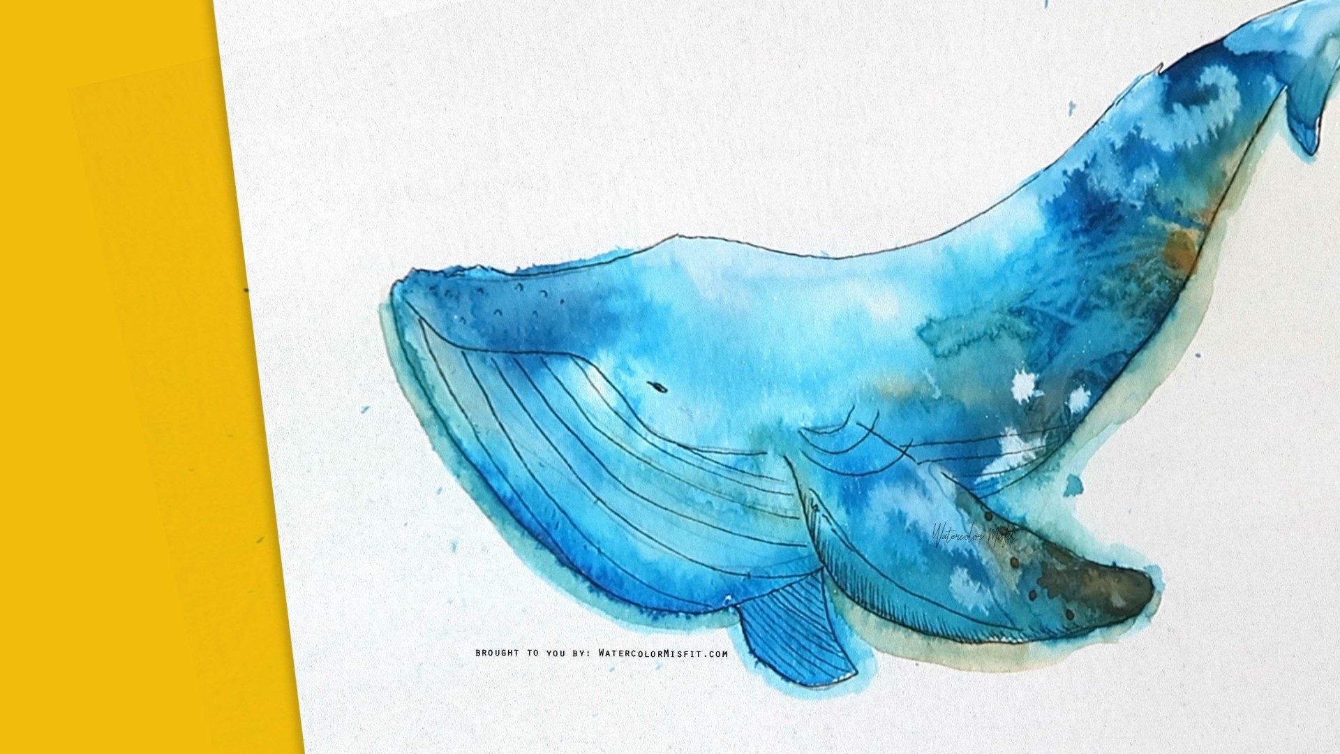 Watercolour brush pen whale